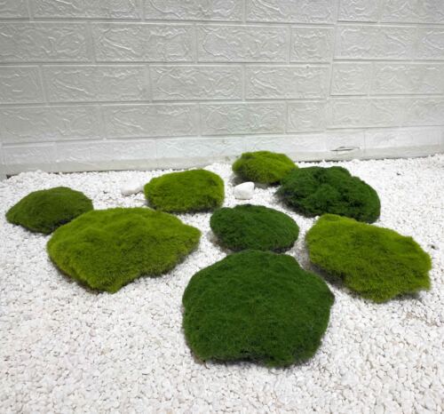 仿真植毛青苔藓小圆块橱窗绿植盆栽底部装饰物室内布景绿色铺垫物