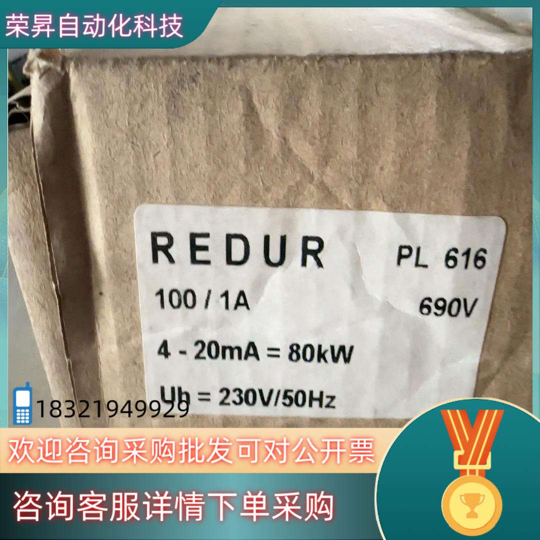 现货REDUR功率测量模块PL616 100/1A 690V