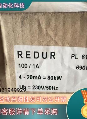 现货REDUR功率测量模块PL616 100/1A 690V