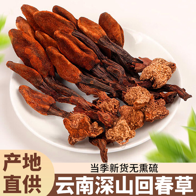 正品云南野生干货回春草