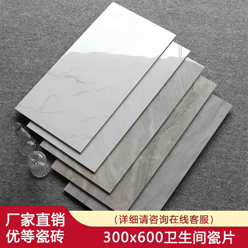 300x600卫生间哑光瓷片地砖