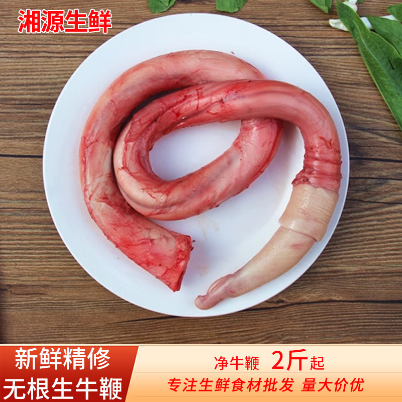 新鲜纯牛鞭精修正宗散养去油黄牛鞭不带肉根生鲜冷冻商用食材