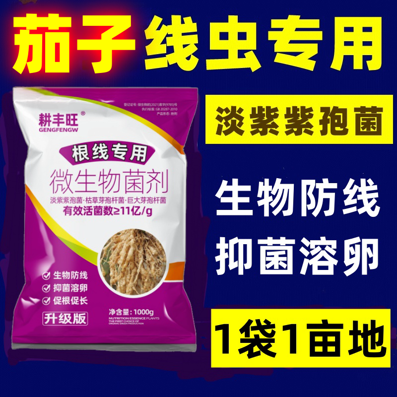 茄子根结线虫专用药淡紫拟青霉菌