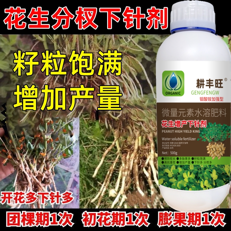 花生分杈下针多花生高产用开花多