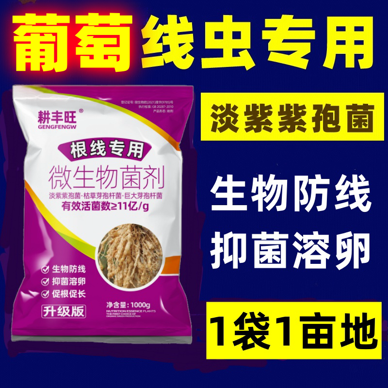 葡萄根结线虫专用药淡紫拟青霉菌