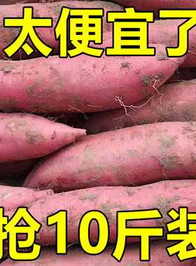 新鲜蜜薯9斤板栗红薯沙地糖心地瓜农家自种番薯现挖红心香薯山芋