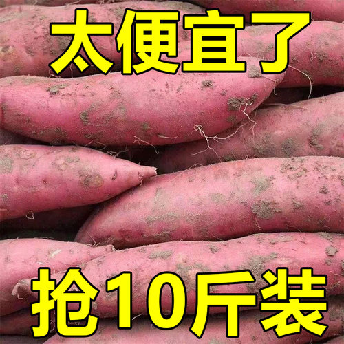 新鲜蜜薯9斤板栗红薯沙地糖心地瓜农家自种番薯现挖红心香薯山芋
