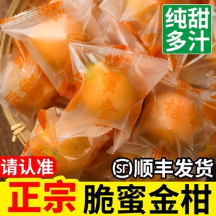 脆蜜金柑广西融安金桔当季新鲜水果糖心脆蜜金桔纯甜第三代大金橘