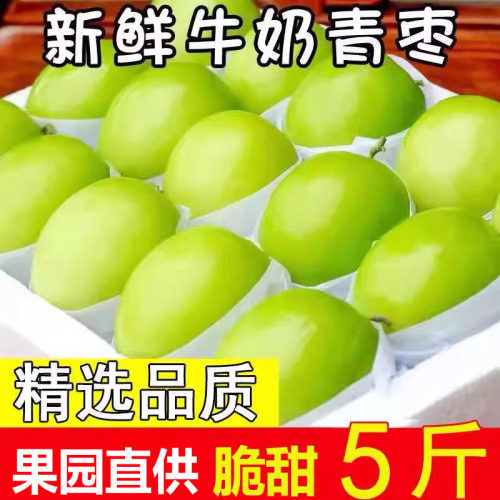 牛奶大青枣新鲜枣子5斤当季水果现摘脆甜苹果枣蜜枣贵妃冬枣包邮
