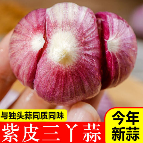 2026云南紫皮三丫蒜大蒜 新鲜现挖5斤鲜蒜红蒜瓣蒜大蒜头包邮