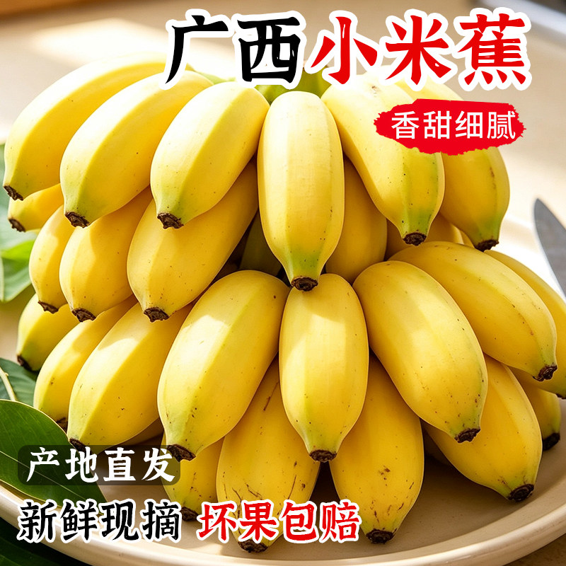 广西小米蕉香蕉新鲜5斤装