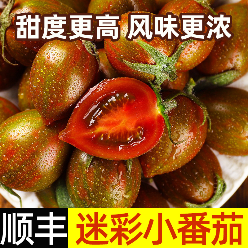 迷彩小番茄圣女果现摘新鲜蔬菜孕妇水果樱桃小西红柿农家种自然熟