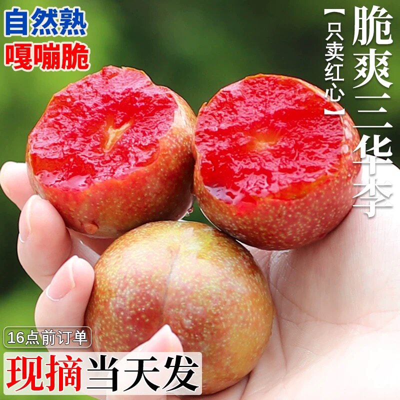正宗三华李新鲜水果红心李子当季酸甜脆李孕妇水果特级果产地直发