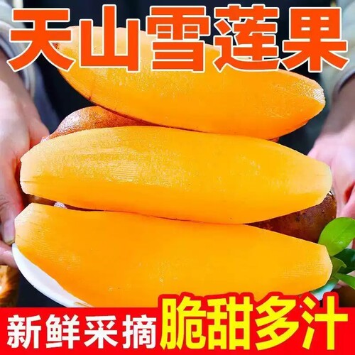 现货速发！云南天山雪莲果新鲜水果9斤当季整箱红心特级雪连果10