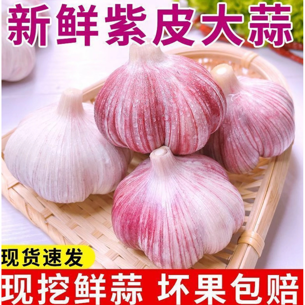 2026年紫皮鲜蒜新鲜湿蒜大蒜头泡糖醋蒜现挖生蒜鲜蒜包邮现挖现发