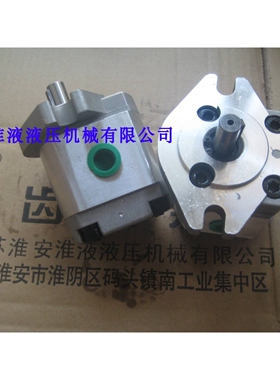 新款1GG1P01R/02R/03R/04R/0R5/06R/07R/08R/09R/11R齿轮泵包邮