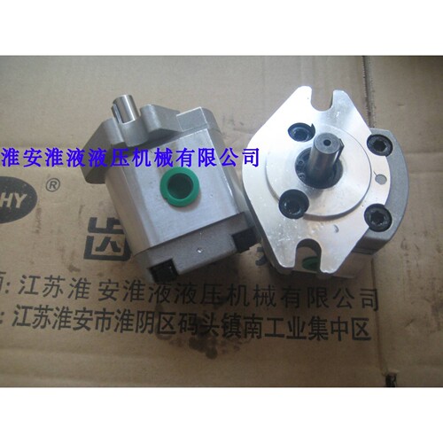 新款1GG1P01R/02R/03R/04R/0R5/06R/07R/08R/09R/11R齿轮泵包邮