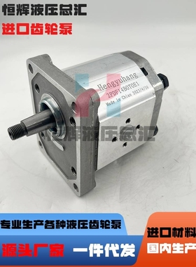 新款高泰克Galtech齿轮泵2SPA14D 2SPA16 2SPA080DSAEA 1SPA6.3液