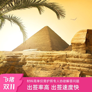 埃及·旅游签证·全国送签·单次多次电子签旅游签证落地签 加急简化办理拒签全退