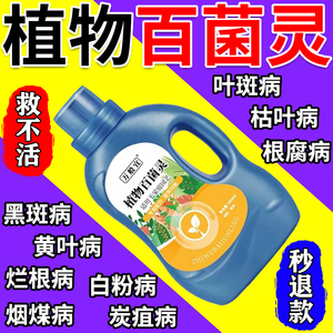 花病康喷剂多菌菌灵杀菌剂花卉植物黄叶菌立清炭疽病兰花黑斑病