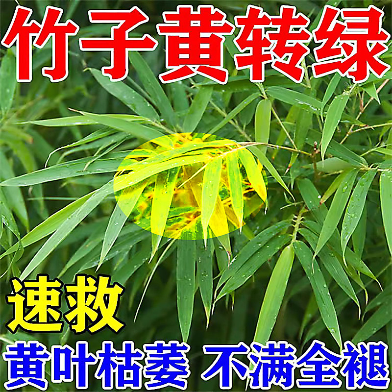 竹子专用营养液竹子专用肥料急救叶子发黄烂根竹子黄叶掉叶营养液
