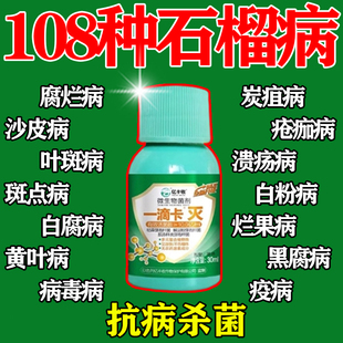 石榴树专用杀菌剂干腐疮痂褐斑病杀虫防烂果专用叶面肥增产