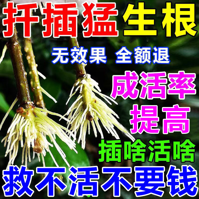 扦插生根液专用树木移栽药剂