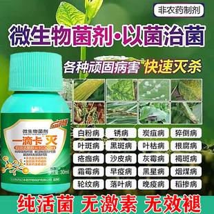 果园消杀灵清园180果树清园剂菌立清面肥杀菌剂吡唑醚茵酯送喷壶