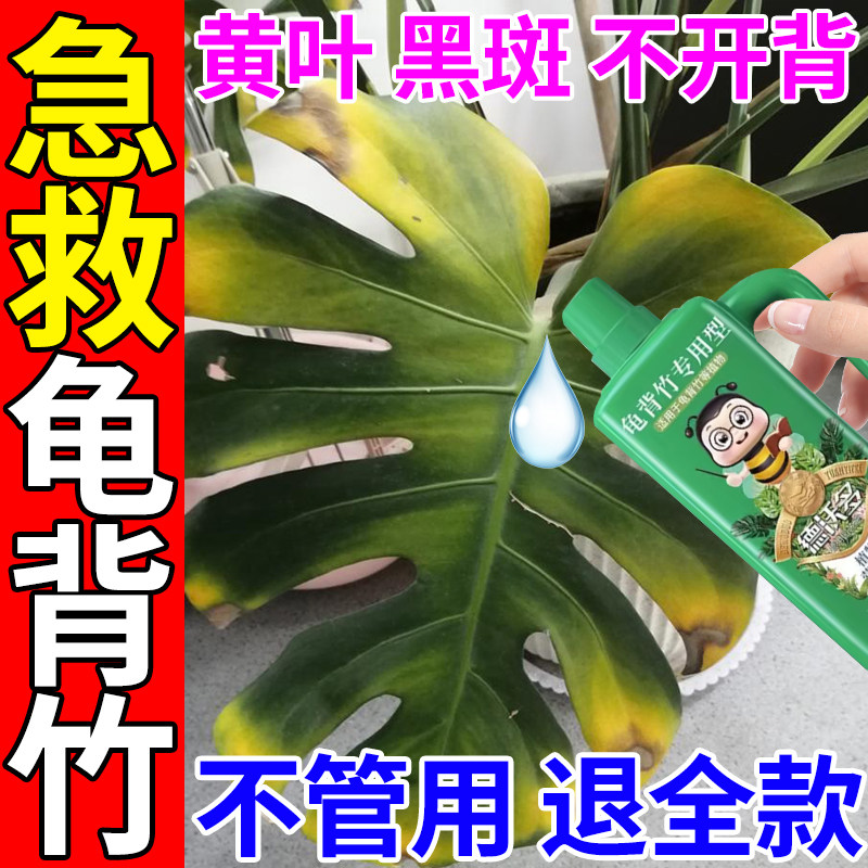 龟背竹专用肥营养液壮根壮苗