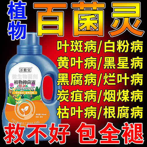花病康喷剂多菌菌灵杀菌剂植物月季黄叶病菌立清炭疽病兰花黑斑病