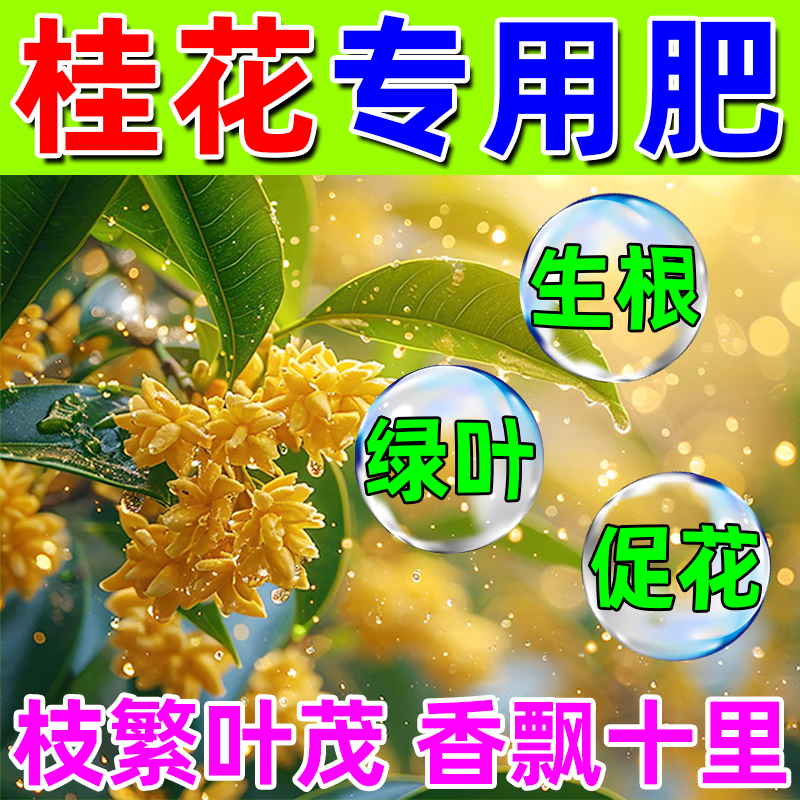 桂花树专用营养液家用花肥料防枯叶病黄叶盆栽通用金桂四季桂花肥