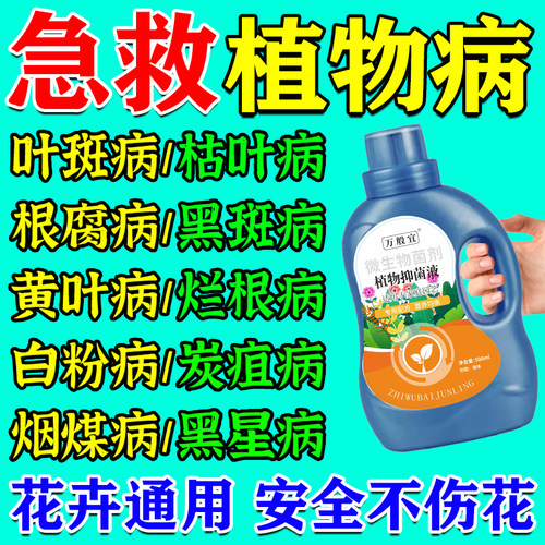 花病康喷剂多菌菌灵杀菌剂花卉植物黄叶菌立清炭疽病兰花黑斑病