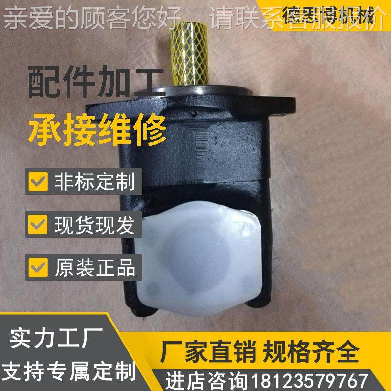 /高压低噪音叶片泵P设VV2-1X0SVD4RB15UM0BK01液压泵物料搬运备机