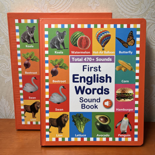 外贸出口有声书英语单词点读发声早教书儿童认知小百科学习玩具