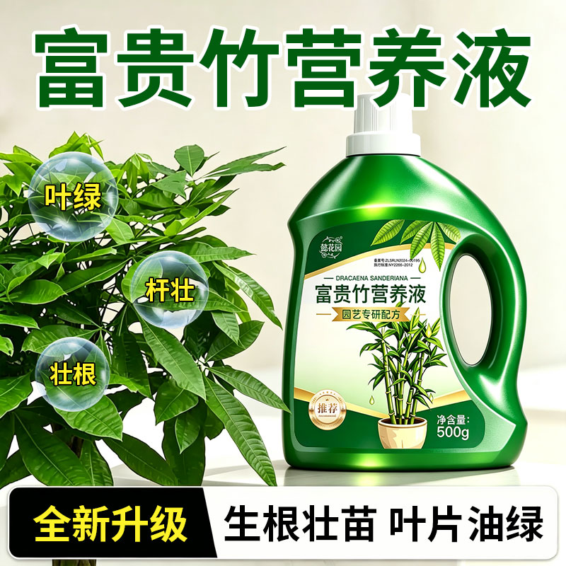 富贵竹专用营养液水培植物转运竹观音竹生根防叶子发黄浓缩营养肥