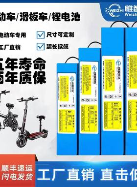 电动车锂电池36V48折叠代驾车48v20ah希洛普小海豚滑板车内置电瓶