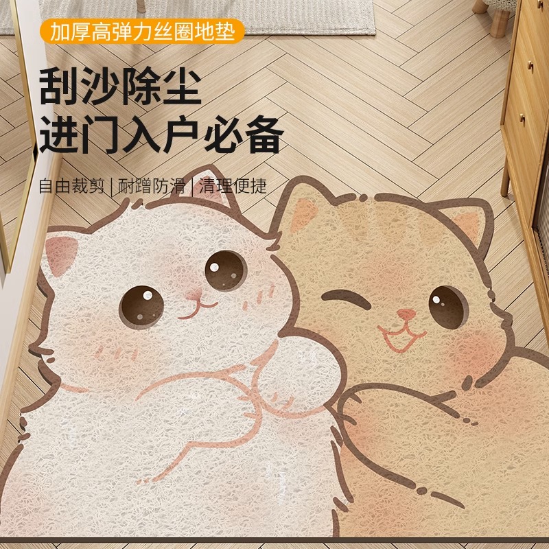 网红丝圈入户地垫耐脏耐磨家用门厅防滑门脚垫可裁剪入门玄关地毯