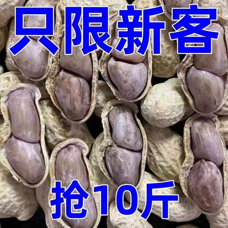新花生龙岩水煮花生白晒干盐水煮咸干湿烤500gx1袋装散熟零食五香