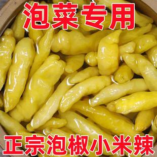 泡椒小米辣特产新鲜野山椒剁椒泡椒凤爪调料泡菜母水商用辣椒