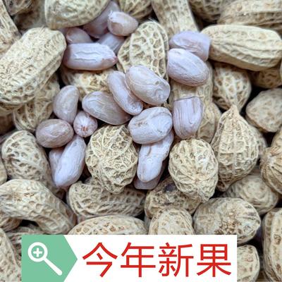 25年新龙岩花生蒜香咸干五香盐水