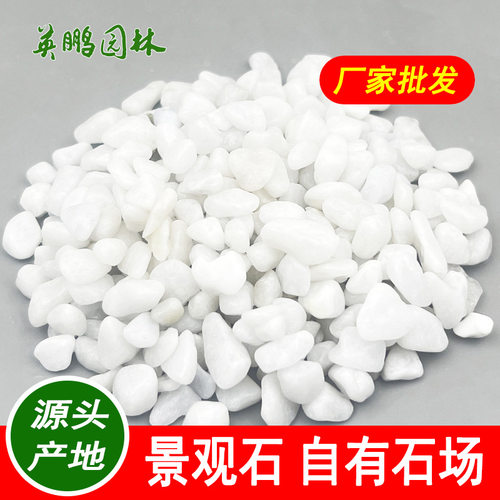 园林枯山水造景用 机制白色砾石水洗石 庭院铺路装饰