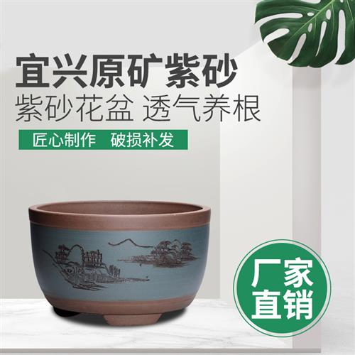 宜兴紫砂特大号陶瓷盆景盆栽绿萝君子兰老桩阳台种菜栽树花盆装饰