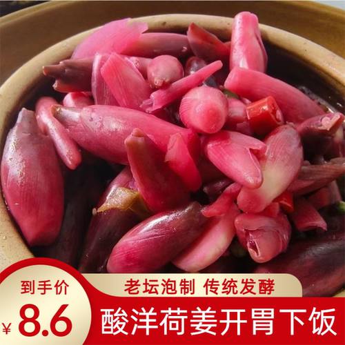 酸洋荷姜腌制泡菜新鲜阳荷姜洋火姜陕南安康土特产下饭菜湖北恩施