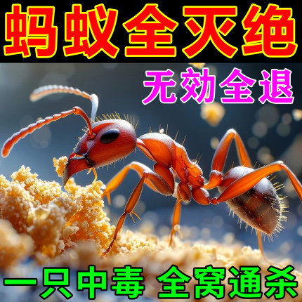 灭蚂蚁药强效全窝端家用无毒厨房室内菜地蚂蚁药一窝端红蚂蚁强力