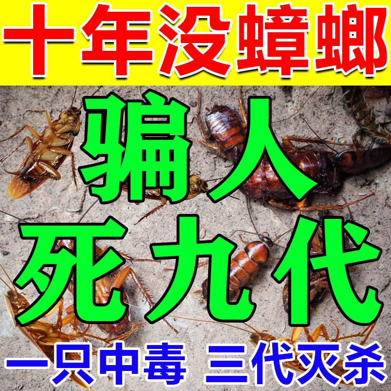 蟑螂一次灭绝全窝端虫卵双杀