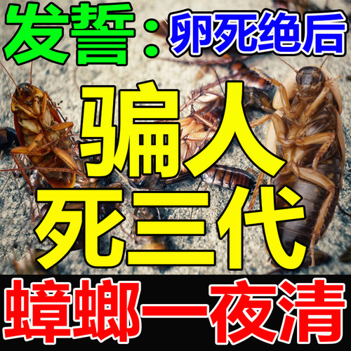 一窝端【一夜清，再无蟑螂