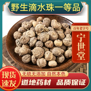 滴水珠中药材滴水珠正宗水滴珠正品易一面锣 一粒珠 石半夏蛇珠子