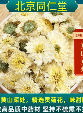 同仁堂白菊花中药材白菊花茶黄山贡菊黄山白菊花贡菊花茶药用白菊