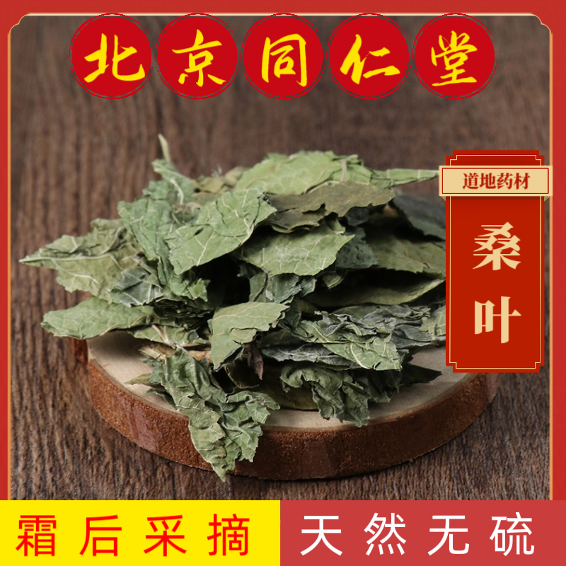同仁堂中药材桑叶中药材霜后桑叶新鲜晒干纯天然 干 青 冬 桑叶茶