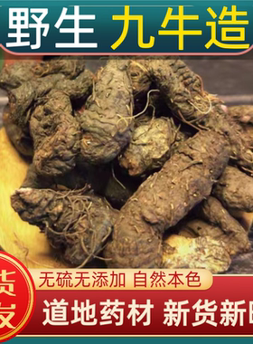 九牛造中药材九牛造四川野生九牛造九牛糙五朵云九牛七九牛造干货